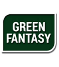 green fantasy